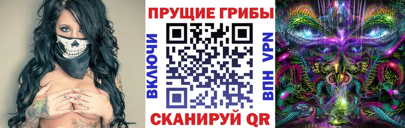 Галлюциногенные грибы мухоморы  OMG зеркало  Киренск 