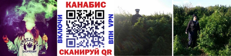 Марихуана White Widow  даркнет сайт  Киренск 